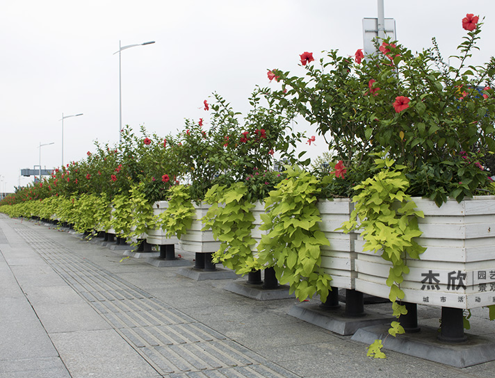 PVC白色一桶一链花箱精品